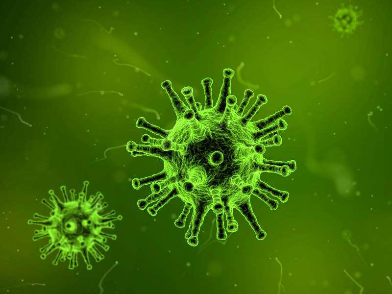 抗菌と殺菌、滅菌の言葉の定義について